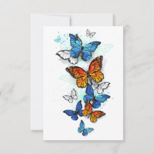 Reserva La Fecha Mariposas voladoras Morpho y Monarca