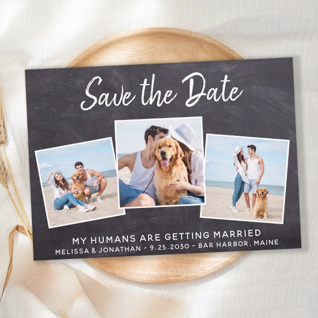 Reserva La Fecha Mascota de Collage de fotos ruso Boda perro (Subido por el creador)