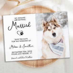 Reserva La Fecha Mascota personalizado Foto Boda de perro de caligr
