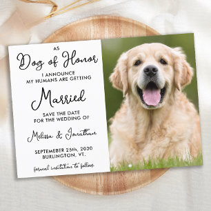 Reserva La Fecha Mascota personalizado Foto: Mis seres humanos se c