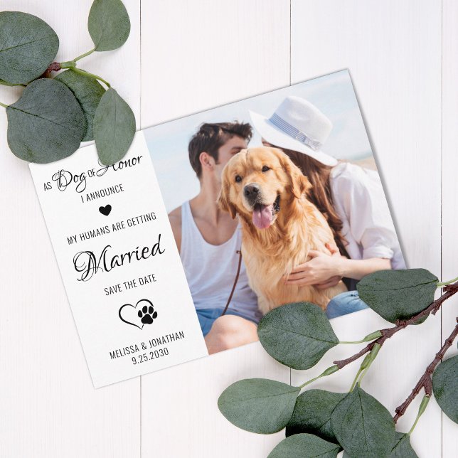 Reserva La Fecha Mascota  Personalizado Perro Boda De Perros (Subido por el creador)