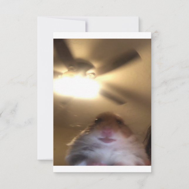 Reserva La Fecha Meme de Hamster Staring (Anverso)