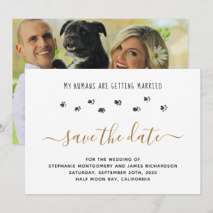 Reserva La Fecha Mis humanos se casan Foto de boda de mascota