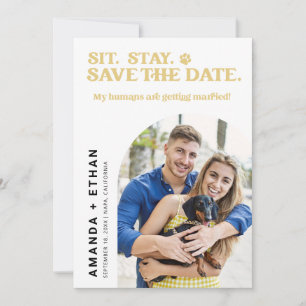 Reserva La Fecha Mis Humanos Se Van a Casar Foto