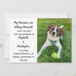 Reserva La Fecha Mis Humanos Se Van a Casar Foto de Perro