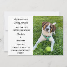 Mis Humanos Se Van a Casar Foto de Perro Guarda la