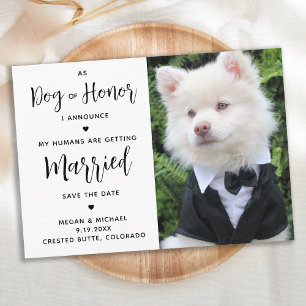Reserva La Fecha Mis Seres Humanos Se Casan - Boda De Perros
