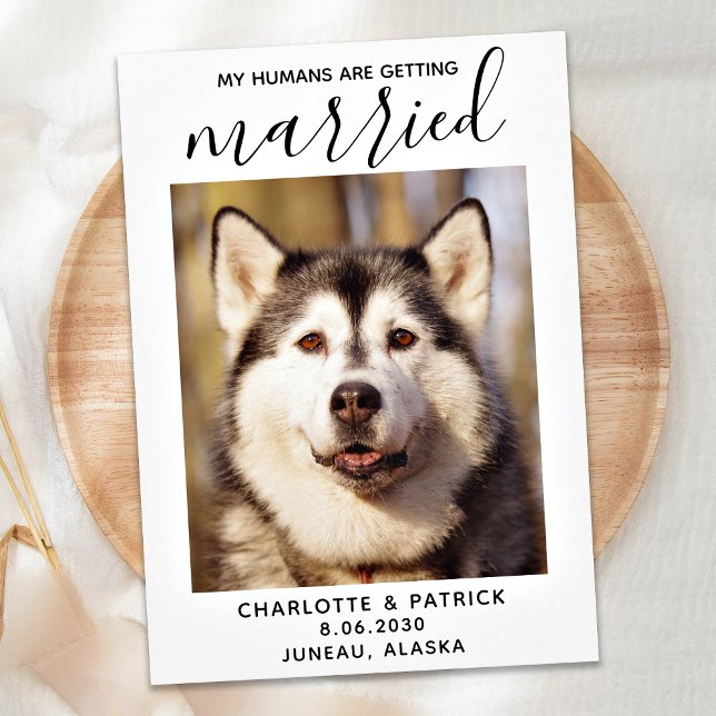Reserva La Fecha Mis Seres Humanos Se Casan - Elegante Boda Perro (Subido por el creador)