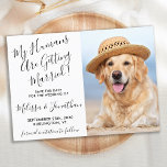 Reserva La Fecha Moderna y elegante foto de Mascota personalizado d<br><div class="desc">Deja que tu Mejor Perro anuncie a tu boda con este super lindo perro mascota de 'Mis Humanos se están casando' que salva las tarjetas de cita. Personalizar con tu foto favorita, y personaliza con nombres, fecha y ubicación de boda. DERECHOS RESERVADOS © 2020 Judy Burrows, Black Dog Art -...</div>