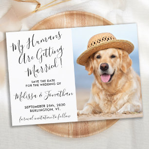 Reserva La Fecha Moderna y elegante foto de Mascota personalizado d