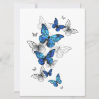 Morfo de las mariposas voladoras azules