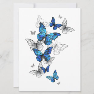 Reserva La Fecha Morfo de las mariposas voladoras azules