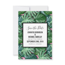 Patrón de hojas tropicales verdes exóticas Guardar