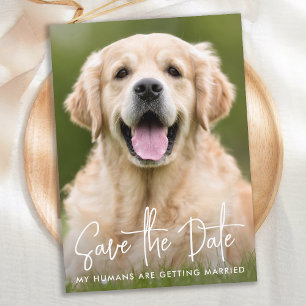 Reserva La Fecha Personalizado Foto Moderno Mascota Elegante Boda d