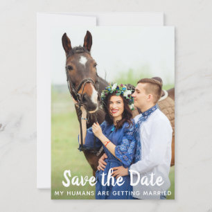 Reserva La Fecha Personalizado simple Mascota de fotografía Boda de