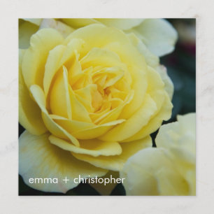 Reserva La Fecha Rosa amarilla DSC3677