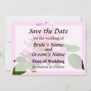 Reserva La Fecha Rosa Chicago Peace Save the Date