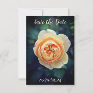Reserva La Fecha Rosa Flor de Jardín Naranja Melocotón Salva la Fec