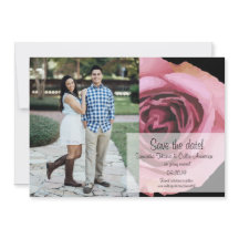 Rosas audaces de primavera rosada y morada