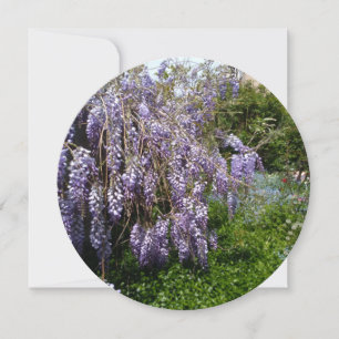 Reserva La Fecha Salven la glicinia Boda de la fecha verde violeta