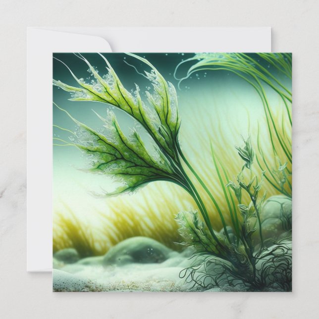Reserva La Fecha Underwater Majesty (Anverso)