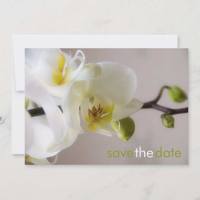Reserva La Fecha Weiße Orchidee ・ Salve la fecha de Karte (Anverso)