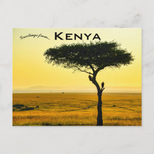 Reserva Nacional Masai Mara en Kenia Tarjeta Posta