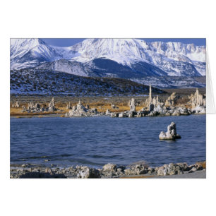 RESERVA NATURAL DEL ESTADO DE TUFA DE MONO LAKE,