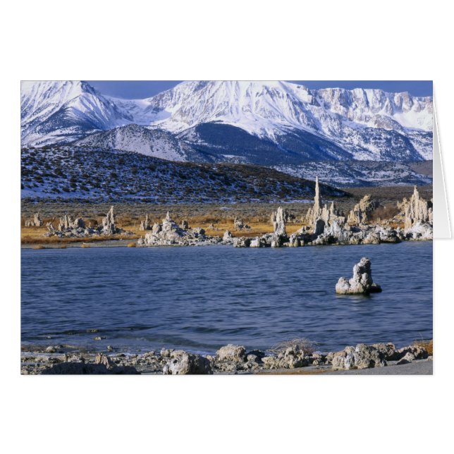 RESERVA NATURAL ESTATAL MONO LAKE TUFA, (Anverso (Horizontal))