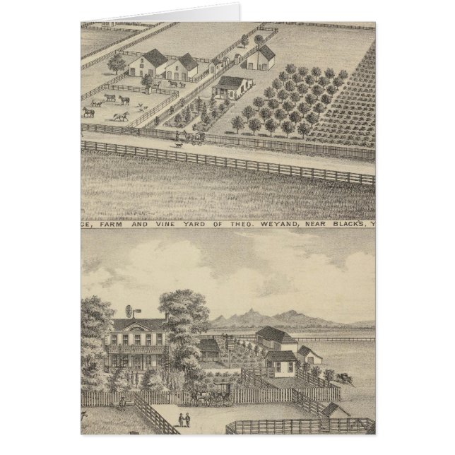 Residencias, Black's Station (Frente)