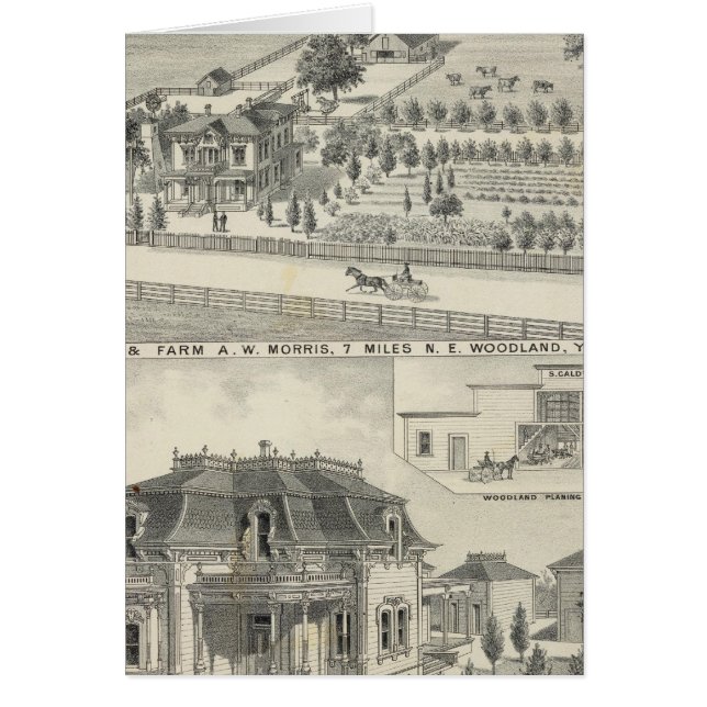 Residencias de Woodland, granjas (Frente)