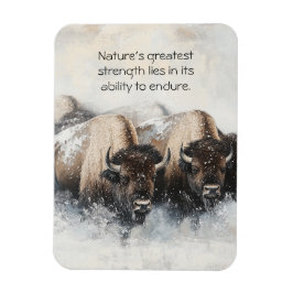 Resiliencia de búfalo: imán de tormenta de nieve