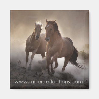 Resistencia al imán