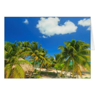 Resort de playa tropical, Belice