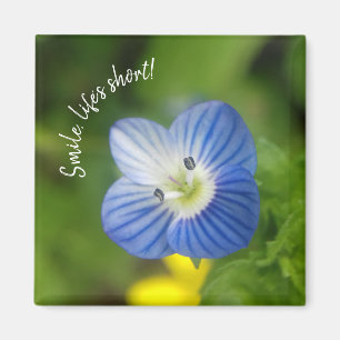 resorte azul - imán