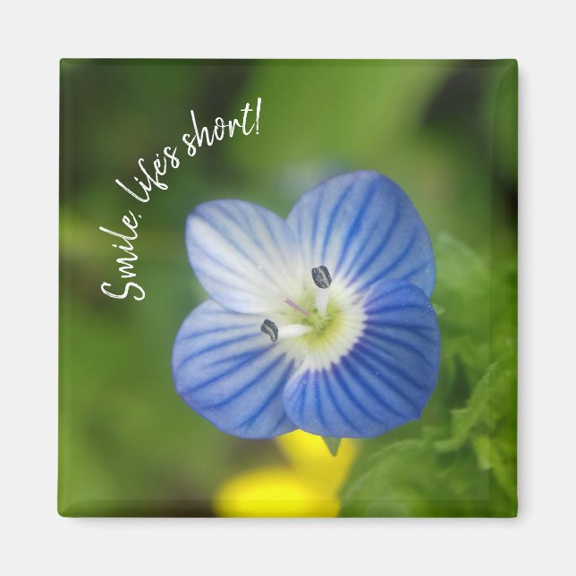 resorte azul - imán (Frente)