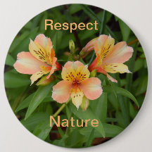 Respeto por la naturaleza: botón Lily del día