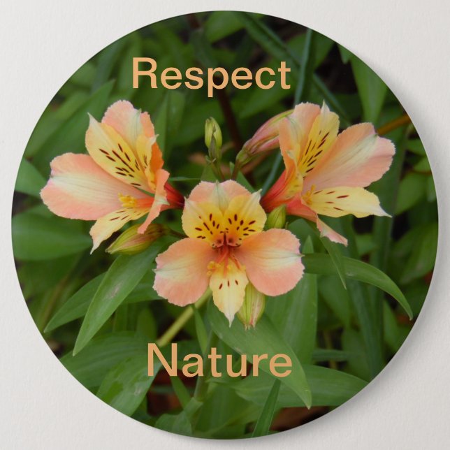 Respeto por la naturaleza: botón Lily del día (Anverso)