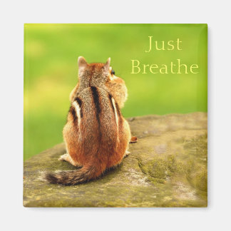 Respira el imán Chipmunk