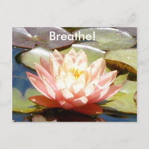 ¡Respire! Postal de Lotus