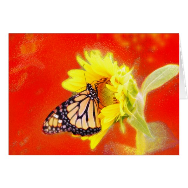 Resplandor (Anverso (Horizontal))