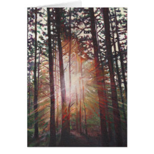 Resplandor solar 2010