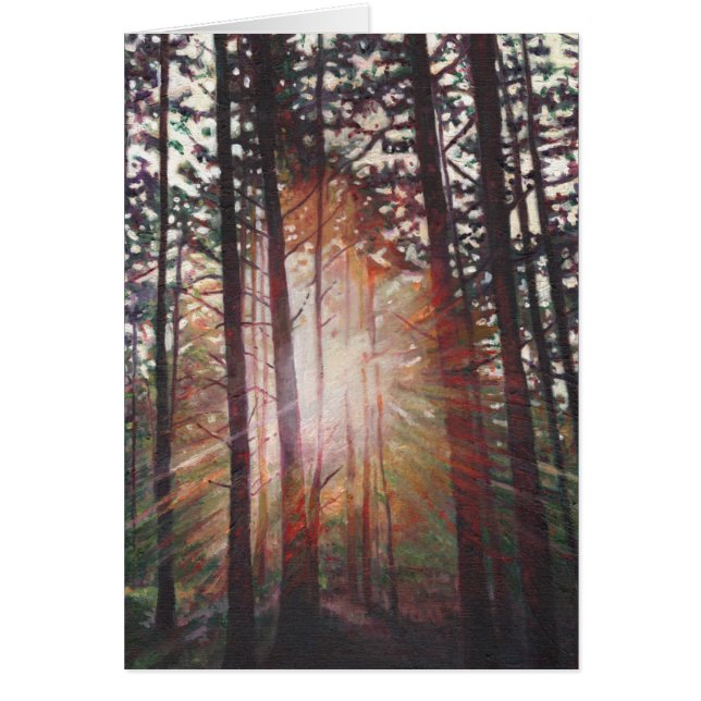 Resplandor solar 2010 (Frente)