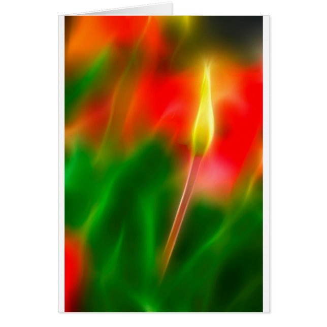 Resplandor verde, rojo y amarillo del tulipán (Frente)