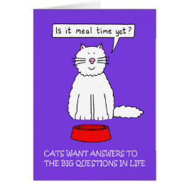 Responde a las preguntas de su gato el día de ener