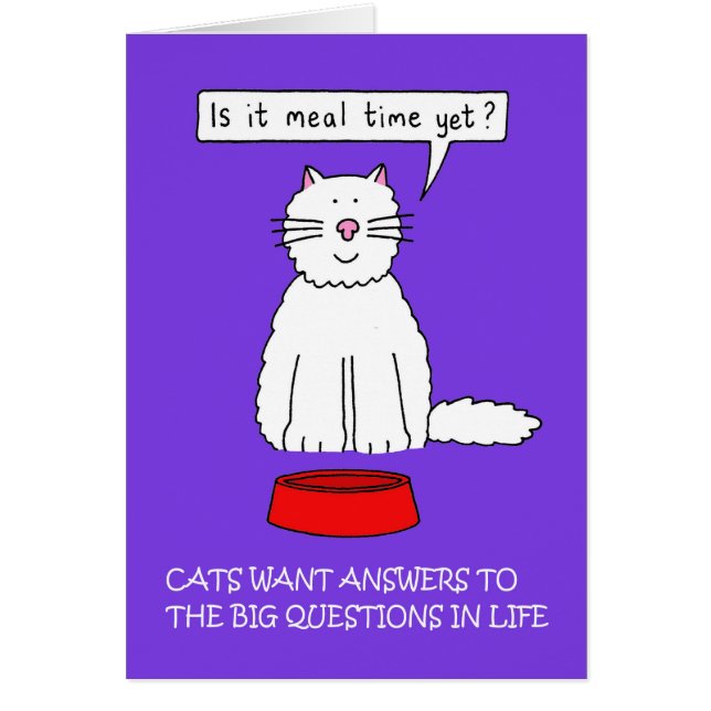 Responde a las preguntas de su gato el día de ener (Frente)