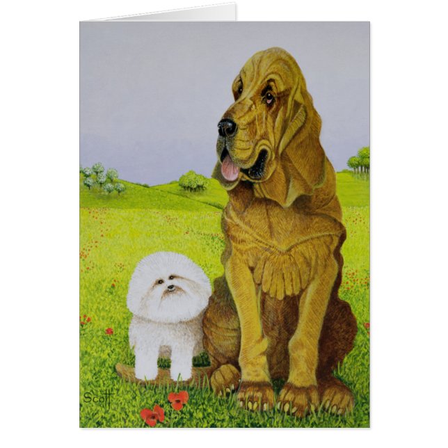 Responsable (Frente)