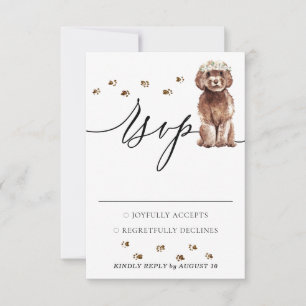 Respuesta del boda Perro de Cavapoo marrón