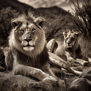 Resto del león - Rompecabezas blanco y negro