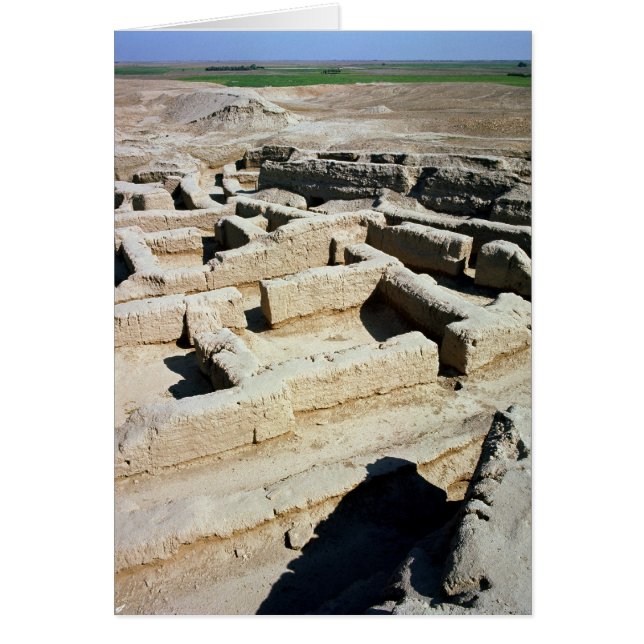 Restos de las casas (Frente)